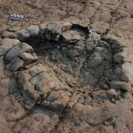 Следы раннего динозавра обнаружены на валлийском пляже