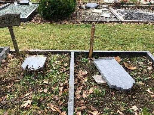Анкара выражает сожаление в связи с нападением на мусульманское кладбище в Германии