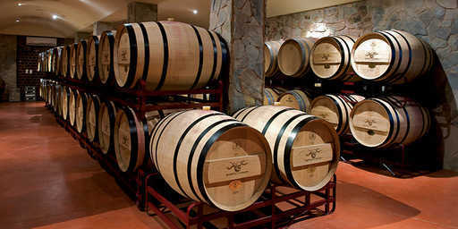 Опитът на винопроизводителя – Правене на вино в Португалия