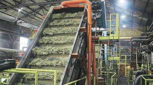India - Garantizar la vacunación de los recolectores de caña: el comisionado azucarero de Maharashtra a los propietarios de los ingenios