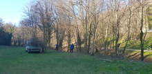 В Плевенском парке «Кайлака» продолжается уборка растительности.