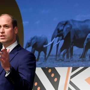 Il principe William cerca candidati per il premio Earthshot di $ 1 milione
