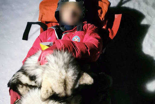 Собака согревает и спасает альпиниста после аварии в Хорватии