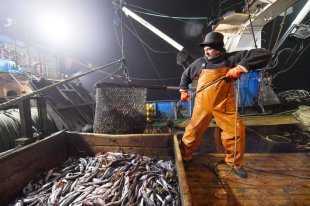 Russia – I pescatori dell'Estremo Oriente partono per la pesca del merluzzo