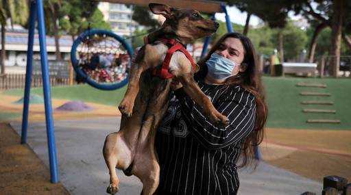 Индия - Опека над собаками: Испания должна учитывать благополучие домашних животных в бракоразводных процессах