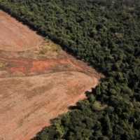 Бразилія припиняє стежити за вирубкою саван, незважаючи на зростання руйнувань
