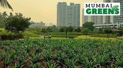 Индия - Зелень Мумбаи: от сада «Нулла» до «Пальмы Джумейра» Боривали