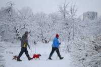 Rusko - Meteorológovia zhrnuli prvé výsledky sneženia v Moskve