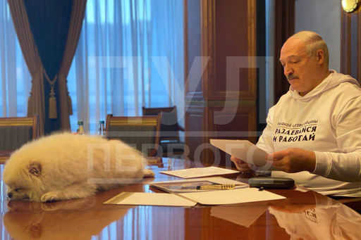 Det fanns ett foto av Lukasjenka i en tröja Ingen nödsituation - ta av dig kläderna och jobba