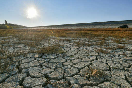Rosja – Naukowcy przewidują suszę w niektórych regionach latem