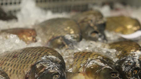 Pomoc de minimis również dla producentów produktów rybnych