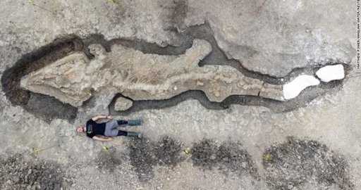 Канада - В британском водохранилище обнаружена огромная окаменелость «морского дракона» возрастом 180 миллионов лет