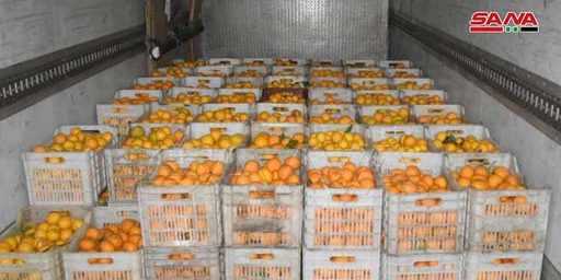 45 ton owoców cytrusowych wysłanych z Tartusu do innych prowincji