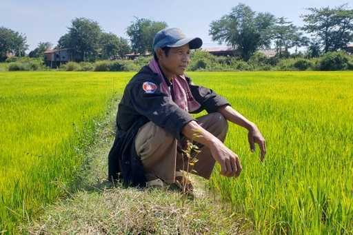 „Нема довољно воде“: Камбоџански фармери се суочавају са променом климе