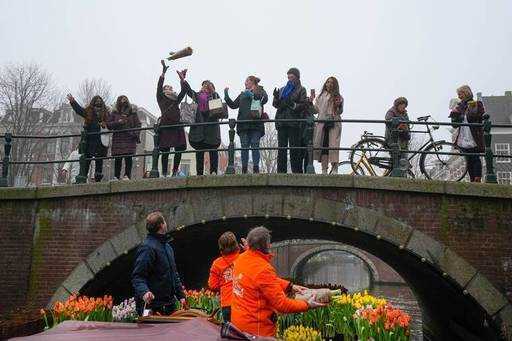 الهند - توليب لأمستردام: يوزع المزارعون زهورًا مجانية