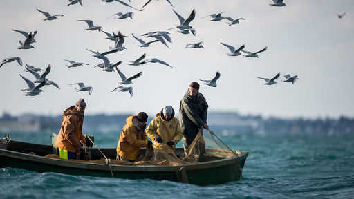 في منطقة ماجادان ، تم نقل الصيادين على طوف جليدي بعيدًا إلى عرض البحر