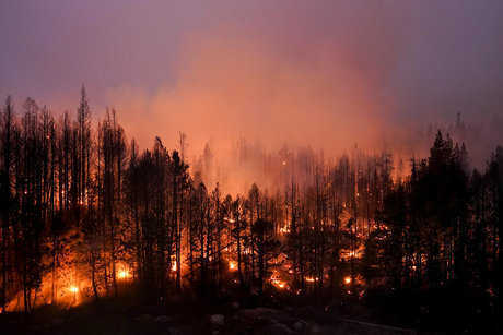 ABD, Ormanların Medeniyetle Buluştuğu Yerde 50 Milyar Dolarlık Orman Yangını Savaşı Planlıyor