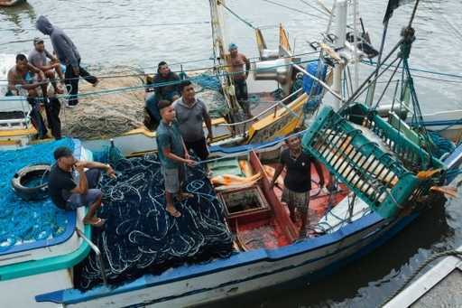 Les pêcheurs brésiliens profitent de l'appétit de la Chine pour la vessie de poisson