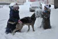 روسيا - مكتب الأرصاد الجوية بموسكو: ستغطى العاصمة يوم السبت بالثلوج وبعد ذلك ستضرب الصقيع