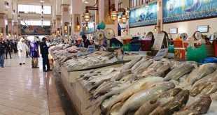 Kuwejt - Brak kupujących na ryby
