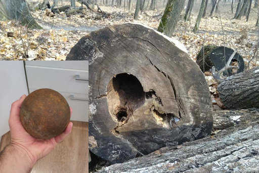 Rosja - W Uljanowsku znaleziono drzewo z kulą armatnią w pniu