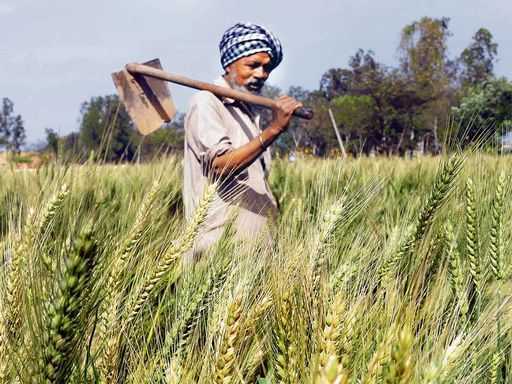 Pakistan - Kmetovanje se začne na zemljišču, ki pripada Guruju Nanaku