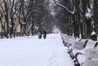 Rusland - In Krasnodar liet een gehandicapte openbare nutsbedrijven zien hoe ze met sneeuw moeten omgaan