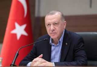 Erdogan: Turkiet är fast beslutet att utveckla kärnkraft