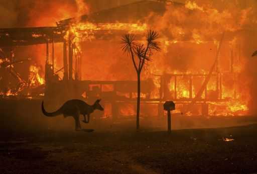 تهدد ضواحي بيرث مع اندلاع حرائق الغابات في أستراليا