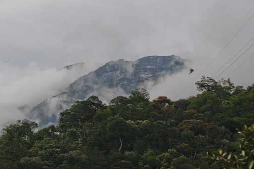 „Foarte tăcere”: Acordul de 80 de miliarde de dolari cu carbon din Borneo stârnește controverse