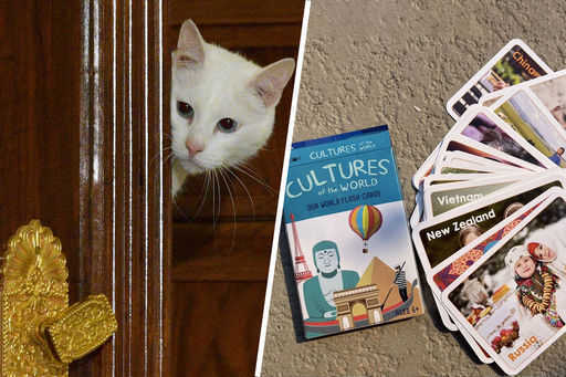 Hermitage cats got into the popular board game