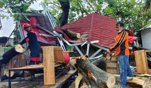 Sterke wind, tientallen bomen in Bantul ontworteld veroordeeld tot 20 jaar, voormalig directeur van PT...