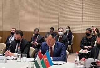 Aserbaidschan und Ungarn sind strategische Partner