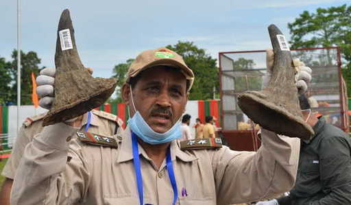 Носещ рог на носорог, южноафриканец, арестуван на летището