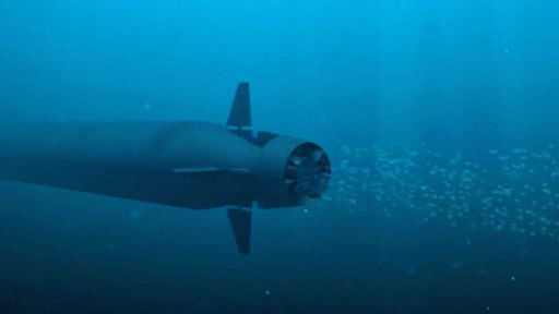 De defensie-industrie sprak over de nieuwste torpedo's, waarvan de productie vanaf 2023 zal worden verhoogd