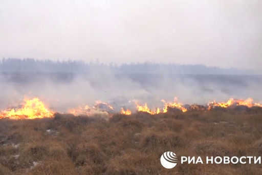 Eight-kilometer fire in Primorye densely approached the villages