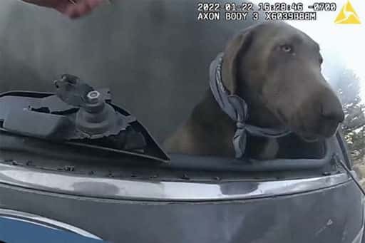 Cop räddar hund från brinnande bil och blir hjälte i sociala medier