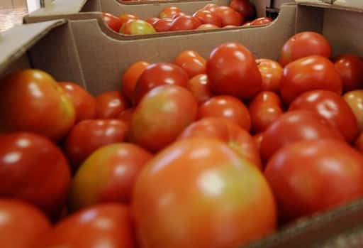 Rusland stond de import van tomaten en appels toe van 16 Azerbeidzjaanse bedrijven in het land