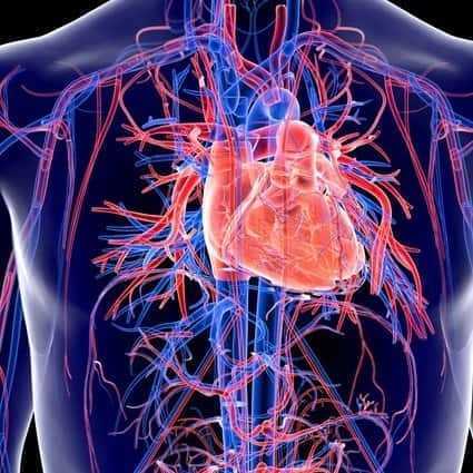 Pacientes com Covid-19 são mais propensos a desenvolver problemas cardíacos, diz estudo