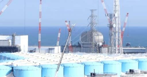Fukushima nükleer santralinin yakınında yakalanan radyoaktif kaya balığı, Japonya'yı sevkiyatları askıya almaya sevk etti