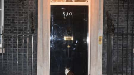 Policja w Londynie wysyła ankiety do uczestników wieców podczas blokady