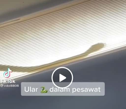 Maleisië - Glijdende slang op vlucht KL-Tawau vastgelegd op camera. Vliegtuig wijkt uit naar Kuching, zegt rapport