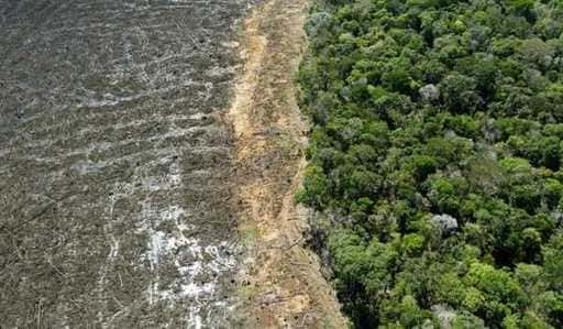 Janeiro, Desmatamento na Amazônia Brasileira bate novo recorde