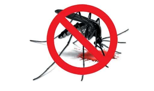 Paquistão - A luta contra a dengue continua