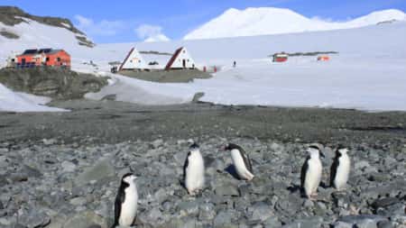 Outros 10 locais geográficos na Antártida têm nomes búlgaros