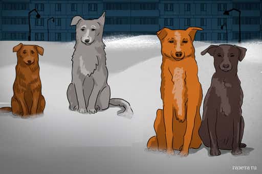 Orenburgská komisárka pre práva detí Linková ponúkla zastrelenie túlavých psov