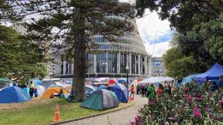 Barry Manilou, James Blunt e Macarena contra o Covid Protesto na Nova Zelândia