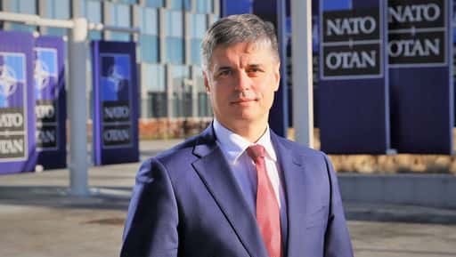 Ukrainas ambassadör meddelade möjligheten att överge planerna på att gå med i Nato