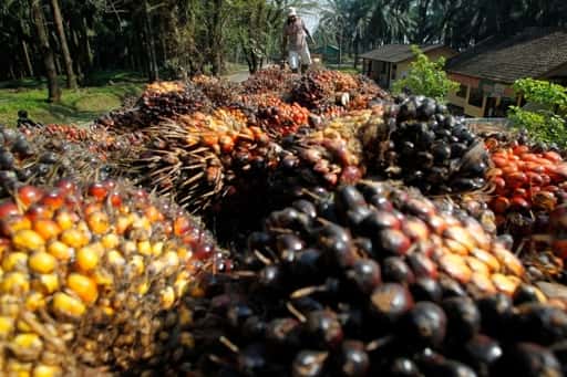 Indien sänker skatten på import av palmolja för att hjälpa konsumenter, raffinaderier