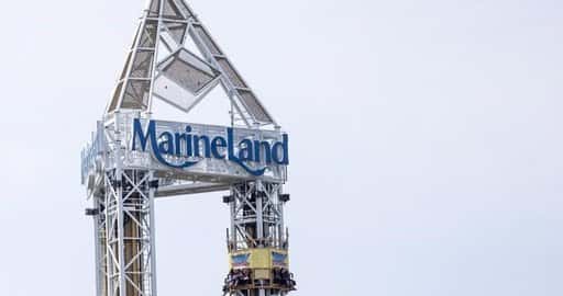Канада - Marineland з'являється в суді для звинувачення у використанні дельфінів і китів у шоу